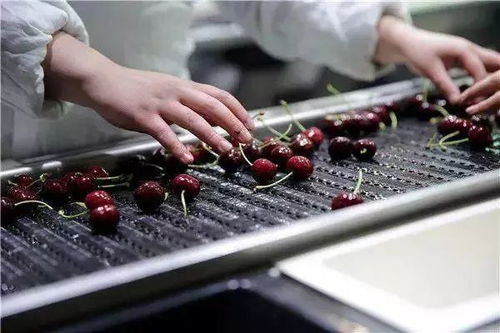 光鲜的背后 当蔬菜成为生活的新奢侈