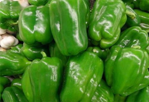 深圳农产品配送新风尚 莞美送菜公司的蔬菜供应之道