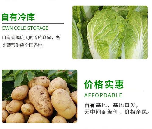 龙岗坪地食堂生鲜蔬菜配送服务 一站式解决餐饮承包的食材需求