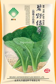 碧野绿翠四季小白菜 北京九方盛远种子的优质之选